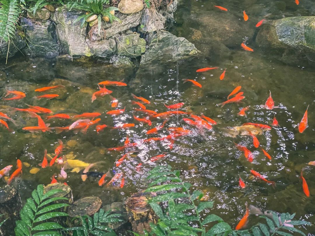 DƬ΢ܛź
